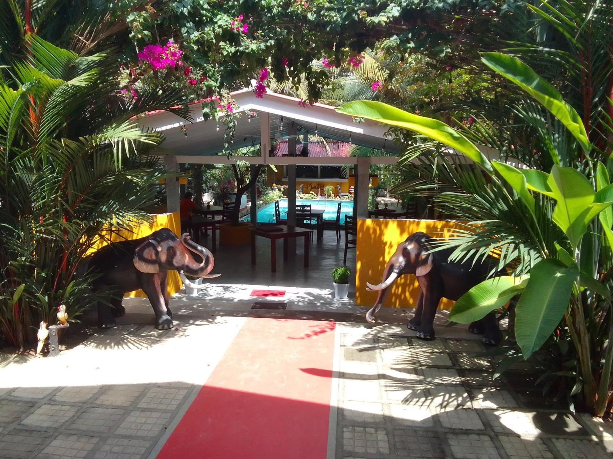 Hotel La Perla Bentota Exterior foto